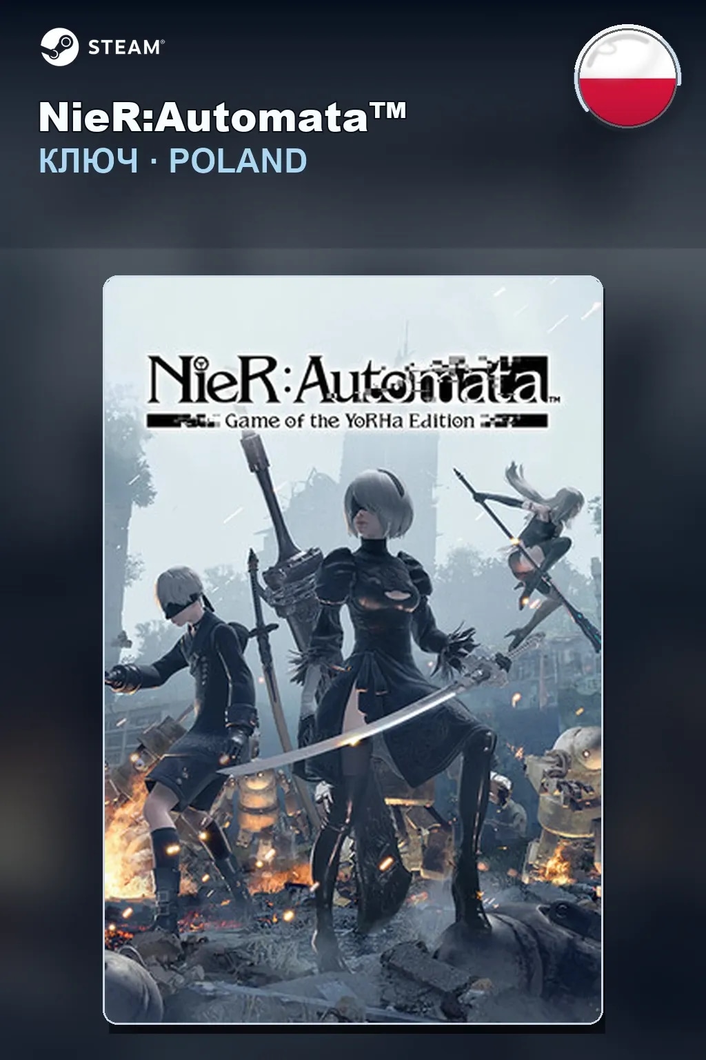 NieR:Automata™ — Польша